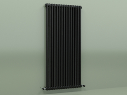 Radiator TESI 2 (H 1500 15EL, Black - RAL 9005)