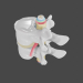 3d Lumbar spine model buy - render