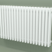 modèle 3D Radiateur Tune VWD E (WGTUV060099-E7, 600x990 mm) - preview