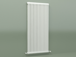 Radiateur TESI 2 (H 1500 15EL, Standard blanc)