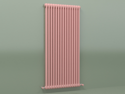 Radiateur TESI 2 (H 1500 15EL, Rose - RAL 3015)