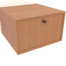 3D Modell Wandschrank TM 14 (400x400x250, Holz rot) - Vorschau