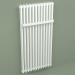 modèle 3D Radiateur Delta Twin M (600x1200 mm, RAL - 9016) - preview