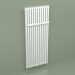 modèle 3D Radiateur Delta Twin M (600x1500 mm, RAL - 9016) - preview