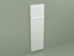 Radiator Delta Twin M (600x2000 mm, RAL - 9016)