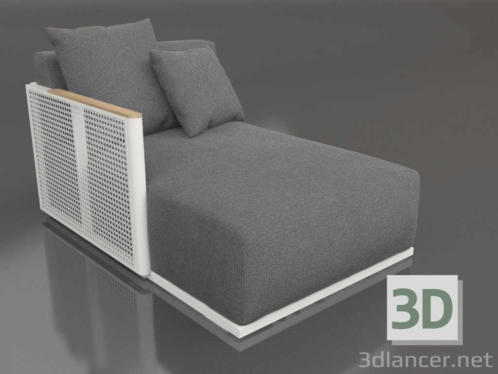 modello 3D Modulo divano sezione 2 sinistra (Grigio agata) - anteprima