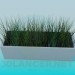 3d model Grass - preview