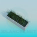 3d model Grass - preview