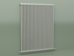 Radiateur TESI 2 (H 1500 25EL, gris Manhattan)