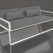 3D Modell 2-Sitzer-Sofa (Achatgrau) - Vorschau