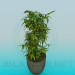 3d model Lush pot - preview