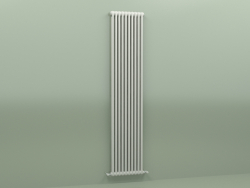 Radiator TESI 2 (H 2200 10EL, Manhattan gray)