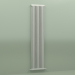 3d model Radiator TESI 2 (H 2200 10EL, Manhattan gray) - preview