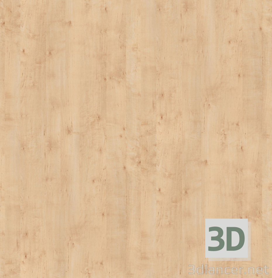 Descarga gratuita de textura Abedul de textura de madera. - imagen