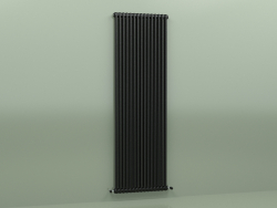 Radiateur TESI 2 (H 2200 15EL, Noir - RAL 9005)