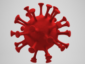 covid-19 virus