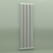 modèle 3D Radiateur TESI 2 (H 2200 15EL, gris Manhattan) - preview