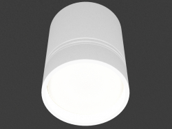 Overhead Led Downlight (DL18481_WW-White R)