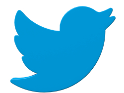 Symbole d'oiseau Twitter