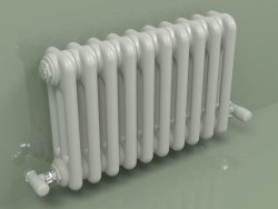 Radiateur TESI 3 (H 300 10EL, gris Manhattan)