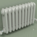 3d model Radiator TESI 3 (H 300 10EL, Manhattan gray) - preview