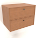 3D Modell Wandschrank TM 14 (600x400x455, Holz rot) - Vorschau