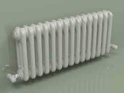 Radiateur TESI 3 (H 300 15EL, gris Manhattan)