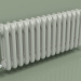 modèle 3D Radiateur TESI 3 (H 300 15EL, gris Manhattan) - preview