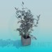 Modelo 3d Plantas Растения - preview