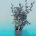 Modelo 3d Plantas Растения - preview