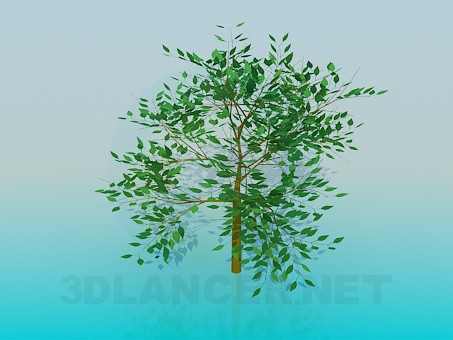 3d model Tree - preview