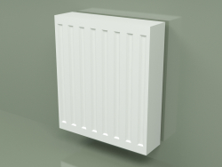 Radiator Compact (C 22, 450x400 mm)