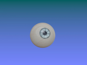 eyeball