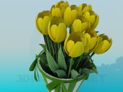 Tulpen