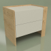 3d model Bedside table CN 200 (Loft, Ash) - preview