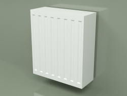 Radiateur Compact (C 33, 450x400 mm)