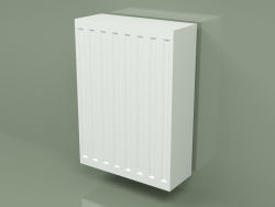 Radiateur Compact (C 33, 550x400 mm)