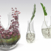 modèle 3D de Terrarium végétal. ENSEMBLE PREVIEWNUM #