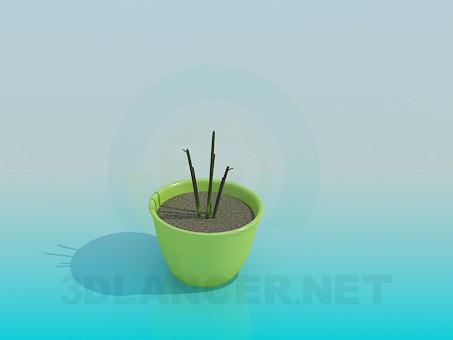 modèle 3D Plante - preview