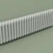 modèle 3D Radiateur TESI 3 (H 300 25EL, gris Manhattan) - preview