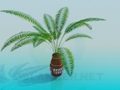 Pot