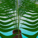 3d model Bote - vista previa