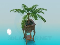 Pentola