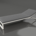 3d model Chaise longue (gris ágata) - vista previa