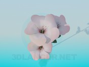 Fleurs
