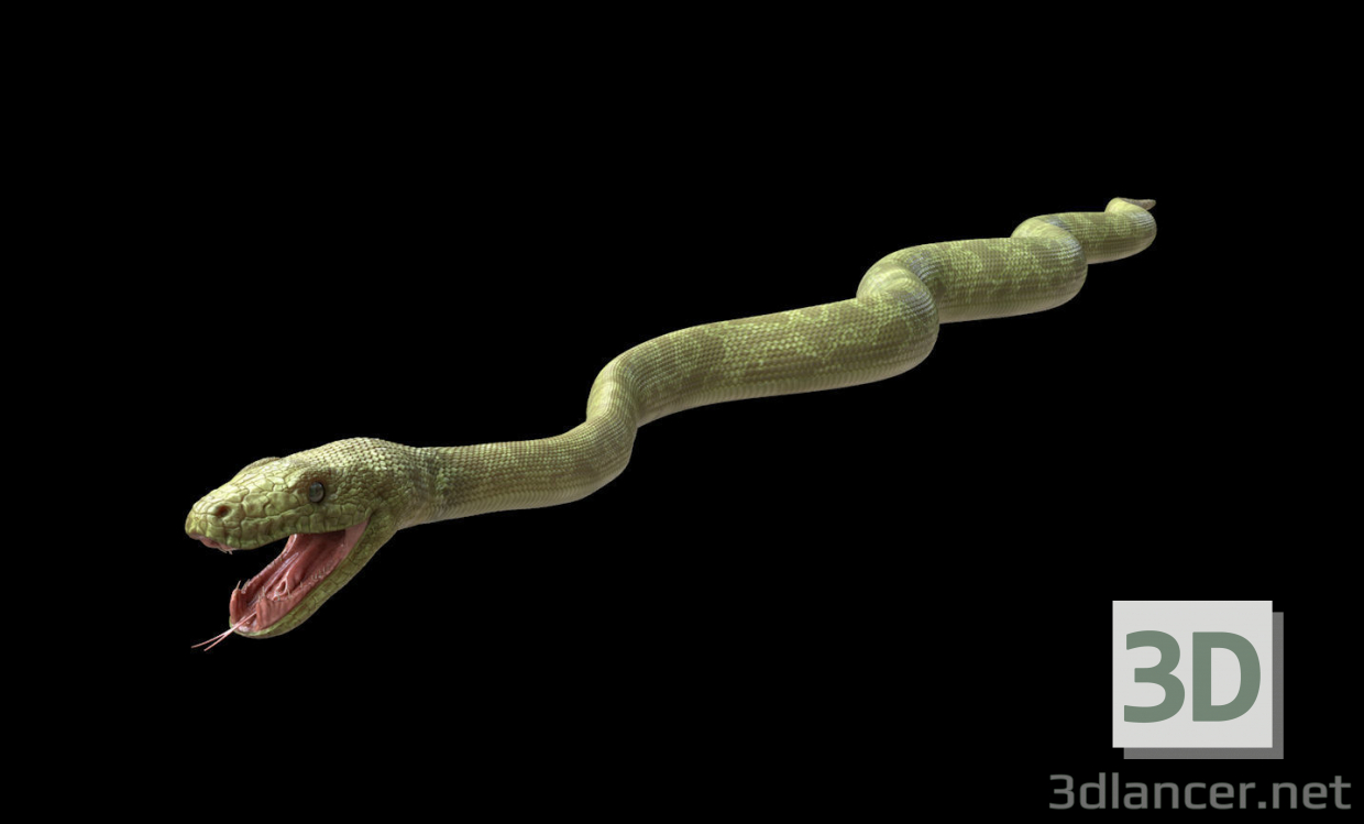 modèle 3D de Boa Vert Rigged acheter - rendu