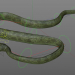 modèle 3D de Boa Vert Rigged acheter - rendu