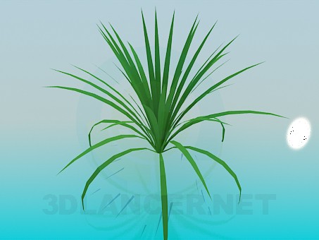 3d model Planta - vista previa