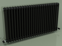 Radiateur TESI 3 (H 600 25EL, Noir - RAL 9005)