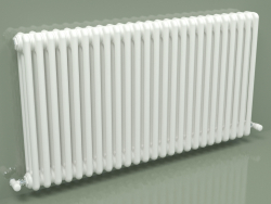 Radiateur TESI 3 (H 600 25EL, Standard blanc)